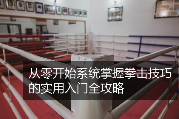 从零开始系统掌握拳击技巧的实用入门全攻略